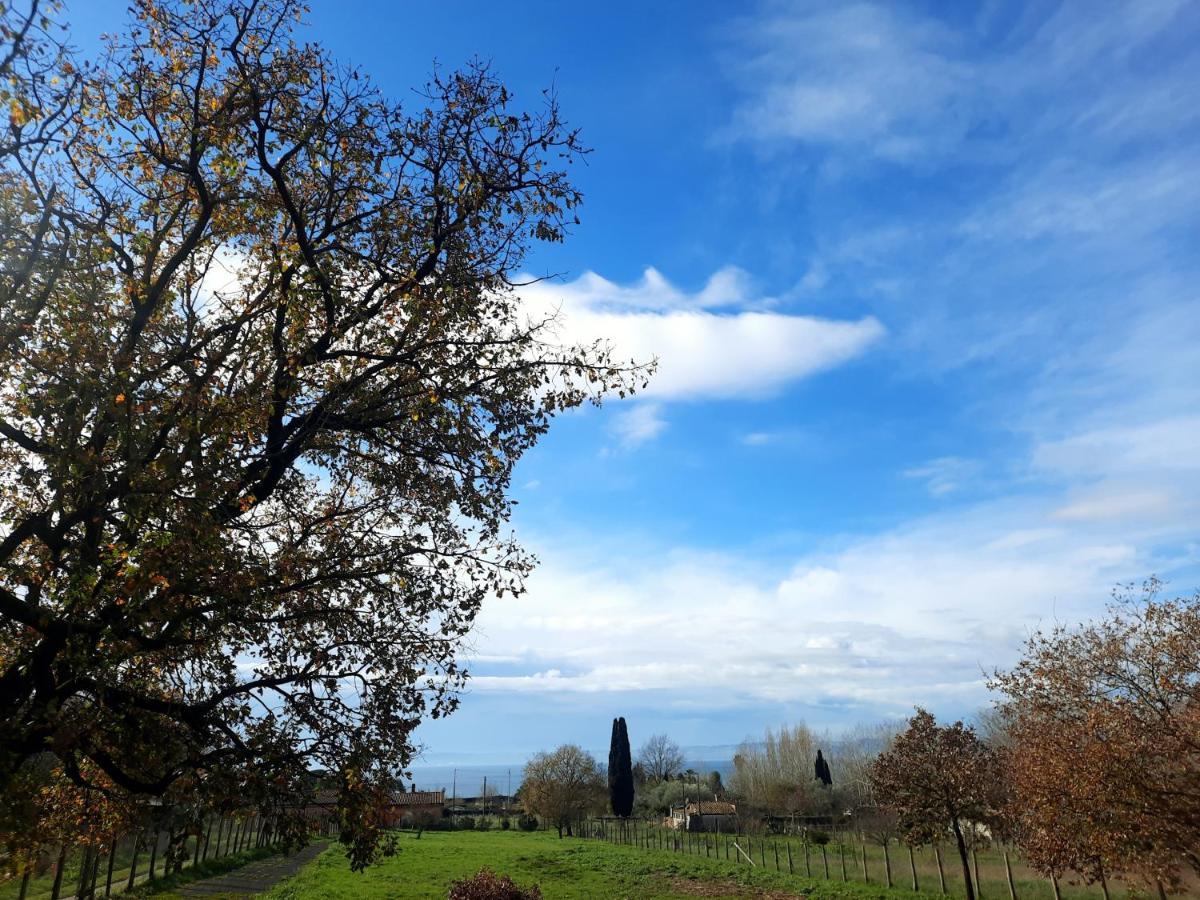Casa Bella Vista Trevignano * Trevignano Romano