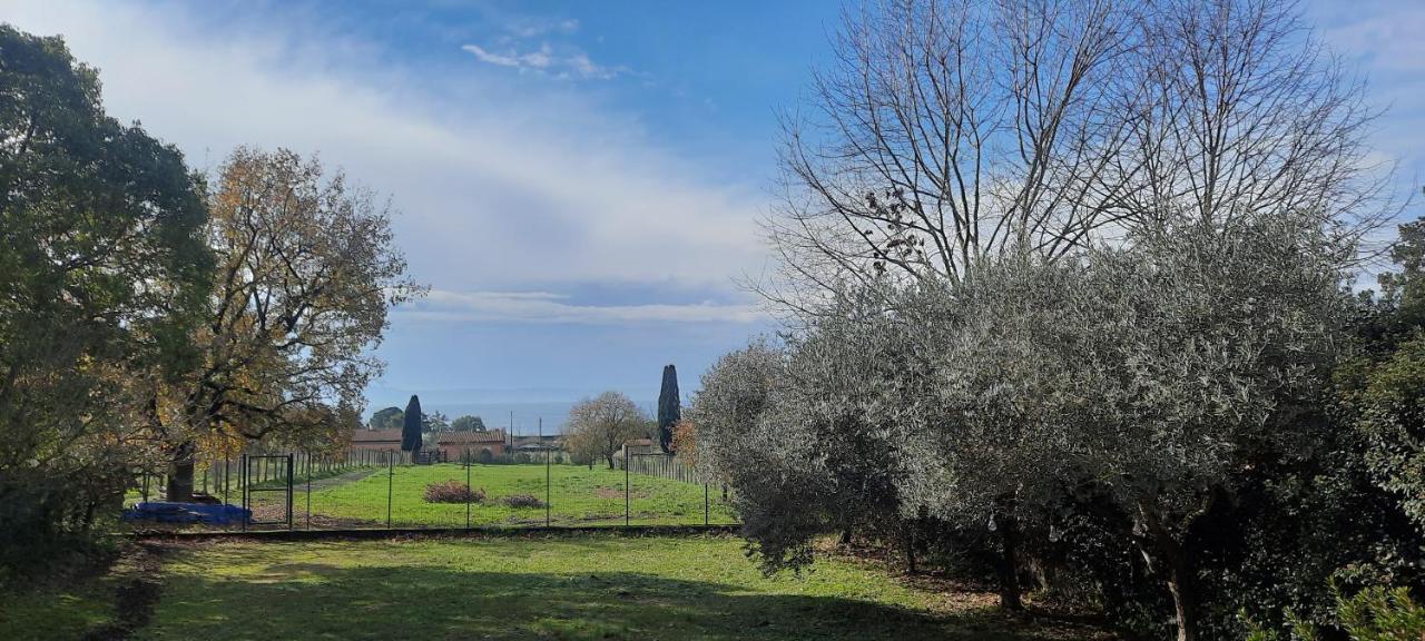 Holiday home Casa Bella Vista Trevignano