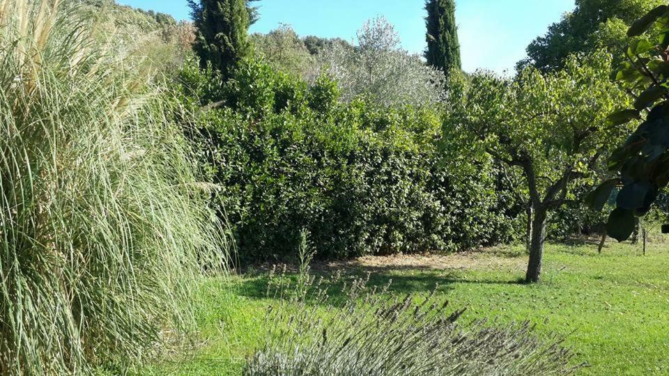 Holiday home Casa Bella Vista Trevignano *
